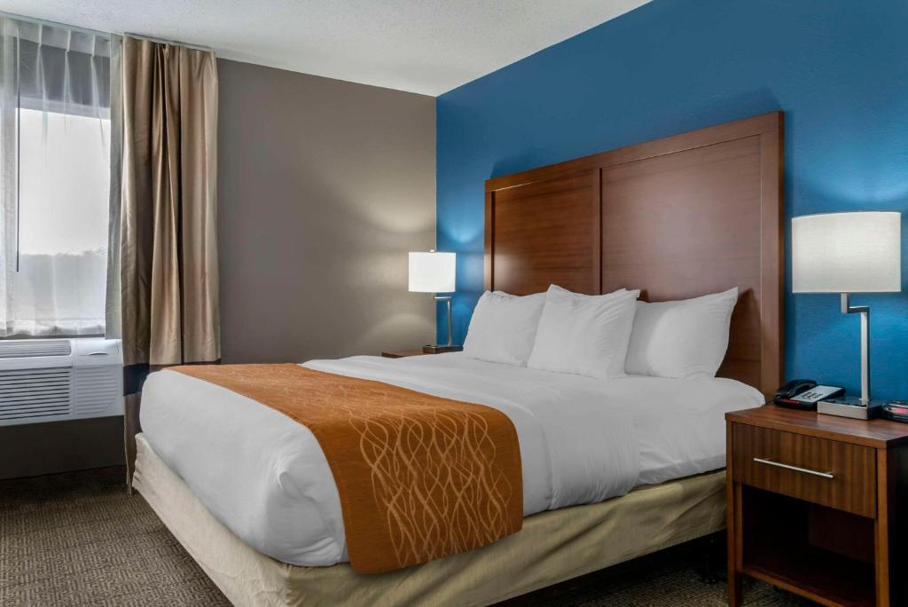 Comfort Inn East 4/20