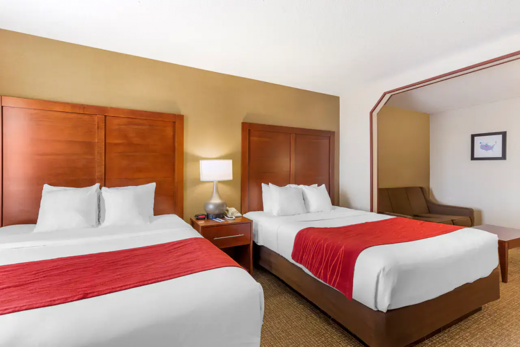 Comfort Inn & Suites Rapid City South - Mt Rushmore Gateway 9/66