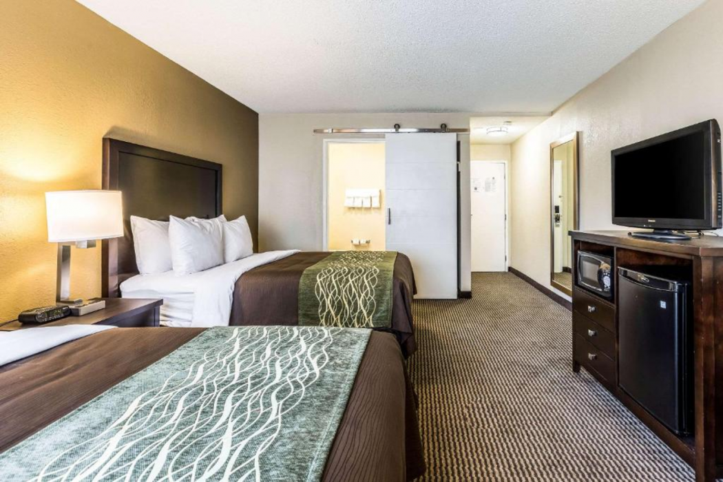 Comfort Inn Downtown Detroit MI 11/24