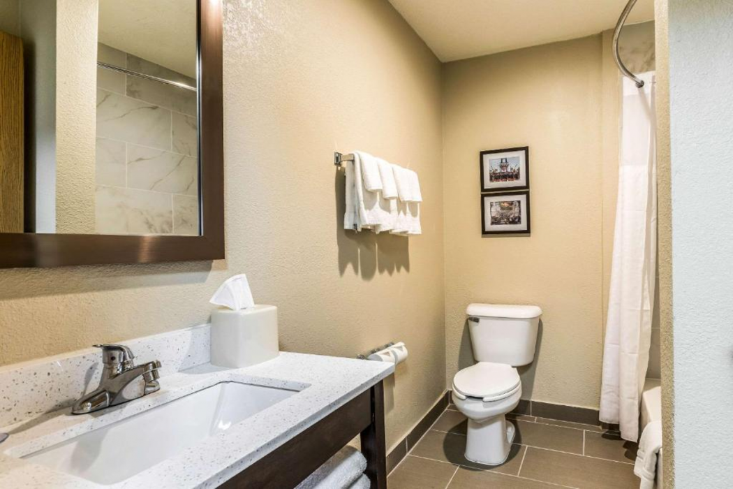 Comfort Inn Downtown Detroit MI 14/24