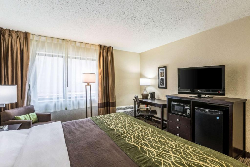 Comfort Inn Downtown Detroit MI 13/24