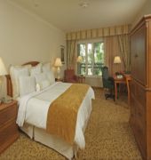 オンタリオ ゲートウェイ ホテル(Delta Hotels by Marriott Ontario Airport) 写真3