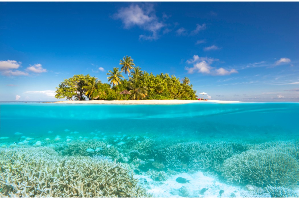 W Maldives 9/135