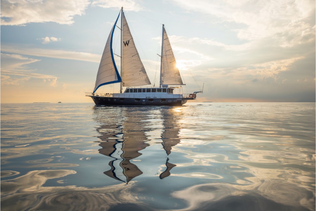 W Maldives 67/135
