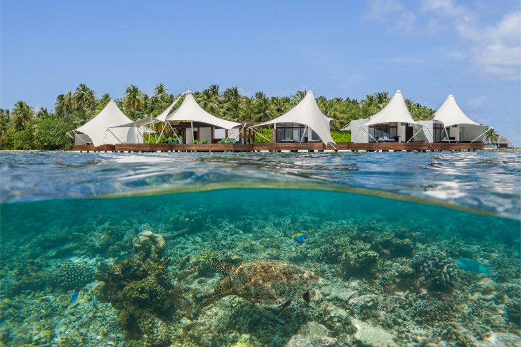 W Maldives 83/135