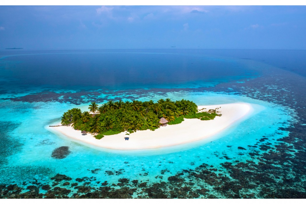 W Maldives 4/135