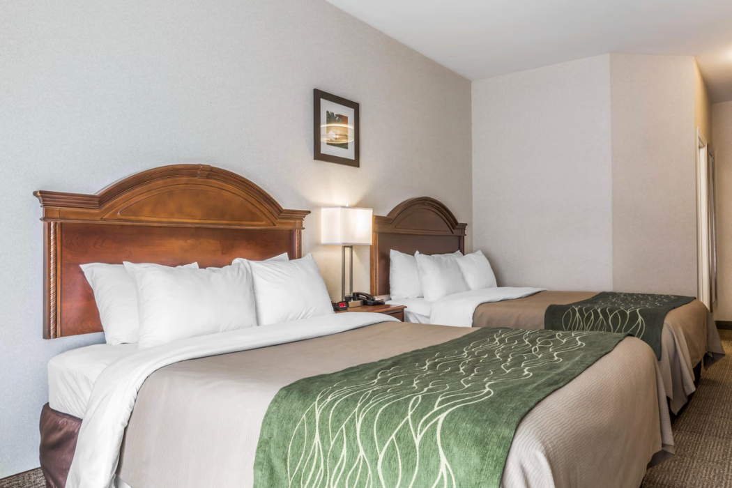 Comfort Inn & Suites South Burlington near University 11/24