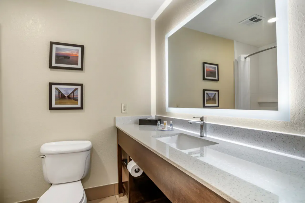 Comfort Inn and Suites Millbrook - Prattville 16/25