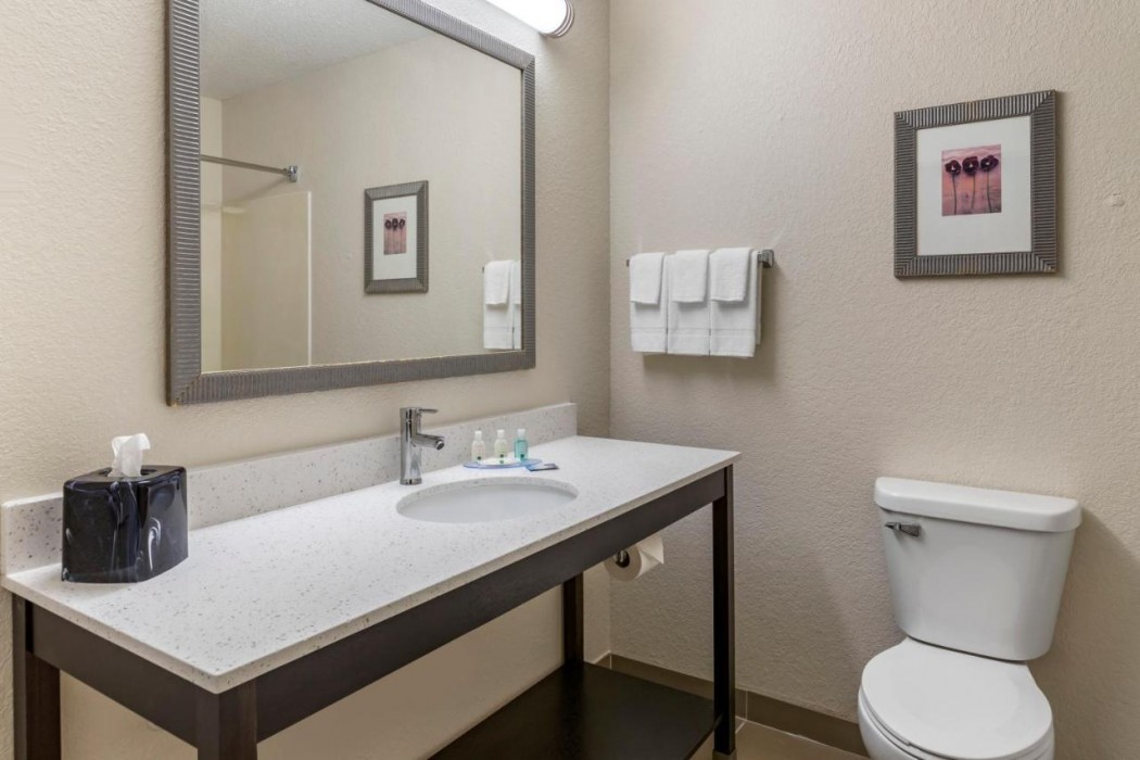 Quality Inn and Suites Bay City 17/34