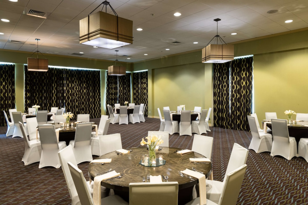 Aviator Hotel & Suites, Bw Signature Collection 20/38