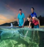 Tangalooma Island Resort 12/54