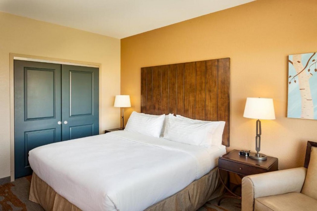 Holiday Inn San Antonio Seaworld, an IHG Hotel 11/61