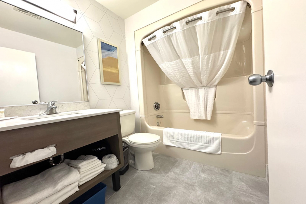 Comfort Inn St. Catherines 18/29