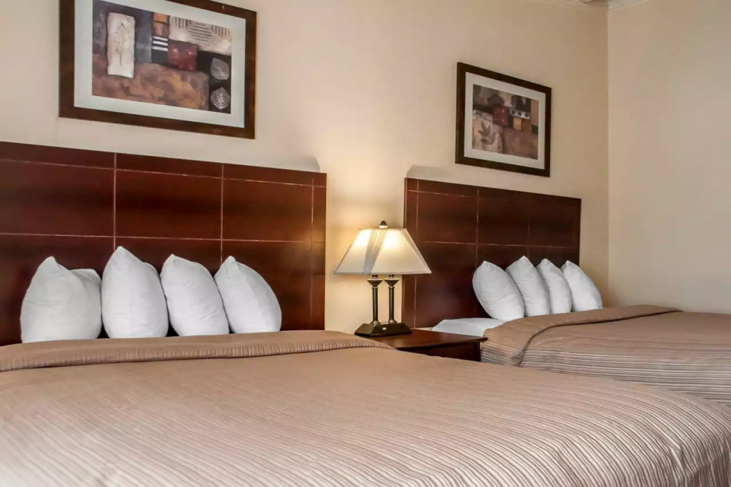 Quality Inn Buffalo Airport 14/28