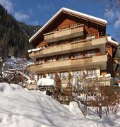 Hotel Steinmattli 1/43