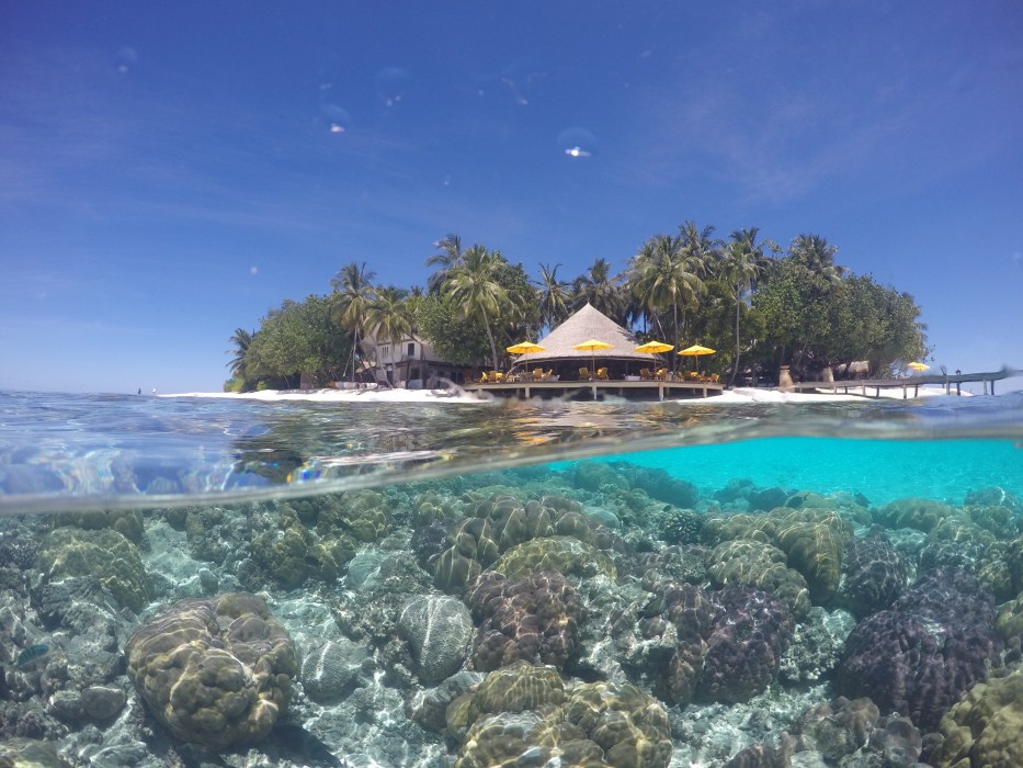 Banyan Tree Vabbinfaru 113/284