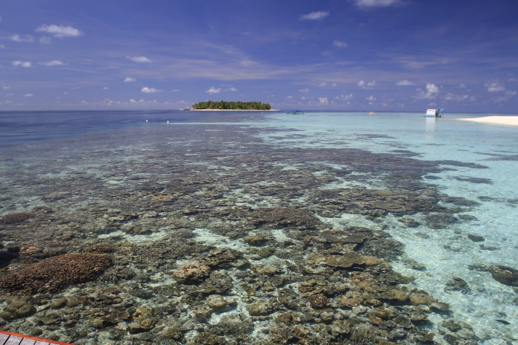 Banyan Tree Vabbinfaru 94/284