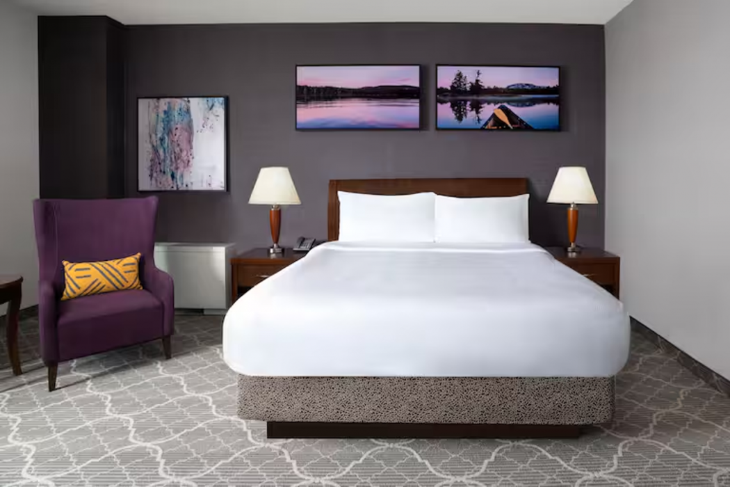 Hilton Garden Inn Calgary Airport 7/44