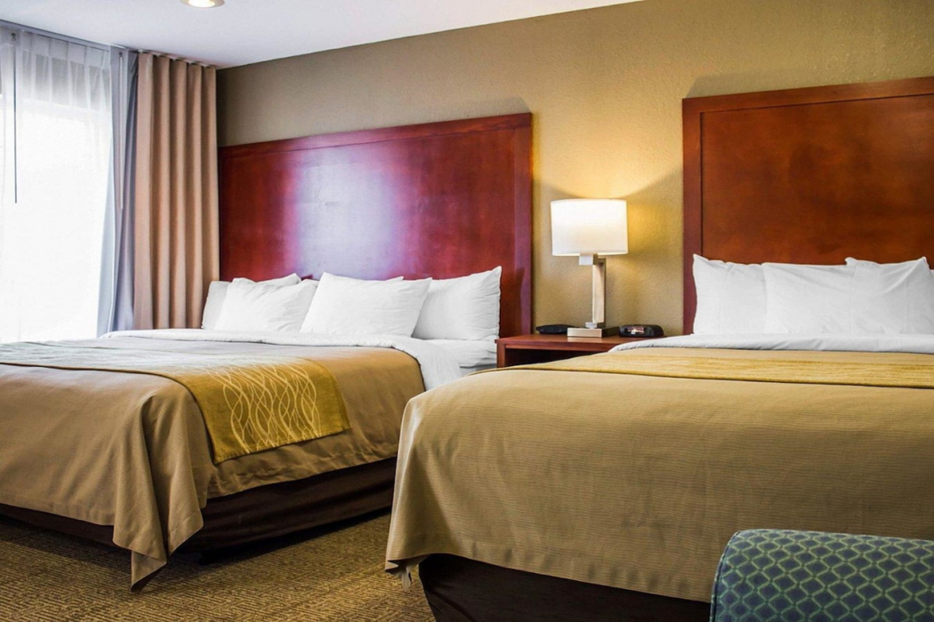 Spark by Hilton Guilford 30/64
