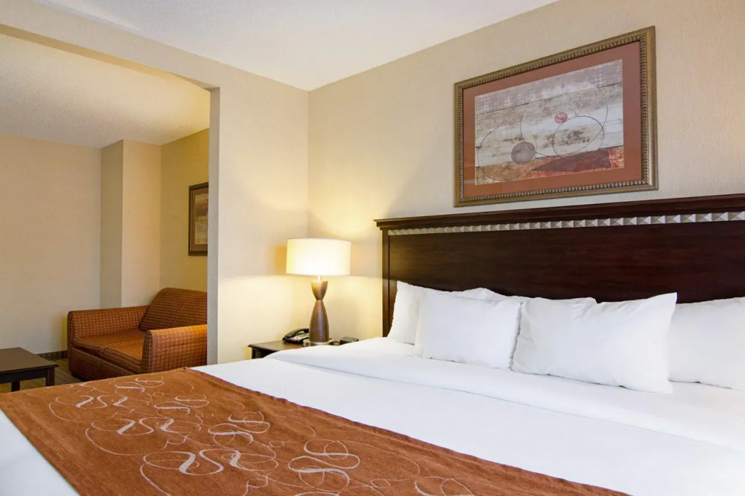 Comfort Suites Conway 11/35