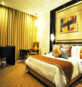 Hotel Hyatt Centric Sector17 Chandigarh 10/49