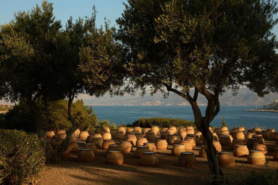 Minos Palace Resort 33/48