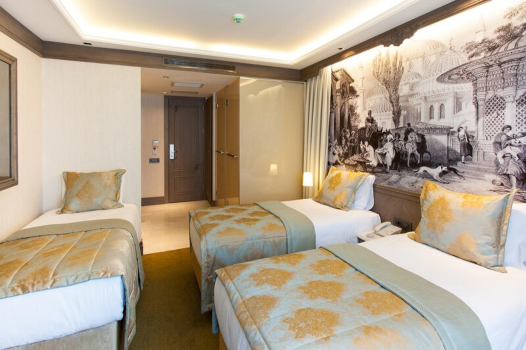 AHC Ayasofya Hotel (Special Class) 15/60