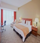 Holiday Inn Irapuato 12/55