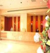 Ximei Business 6/37