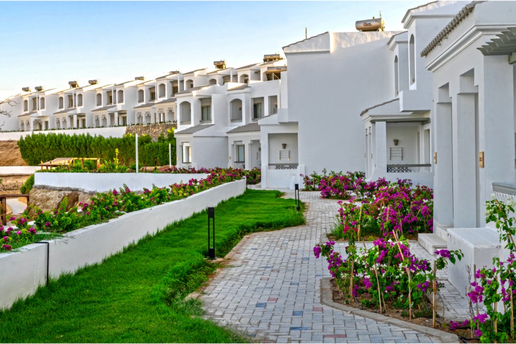 Invidia Coral Beach Tiran 写真3