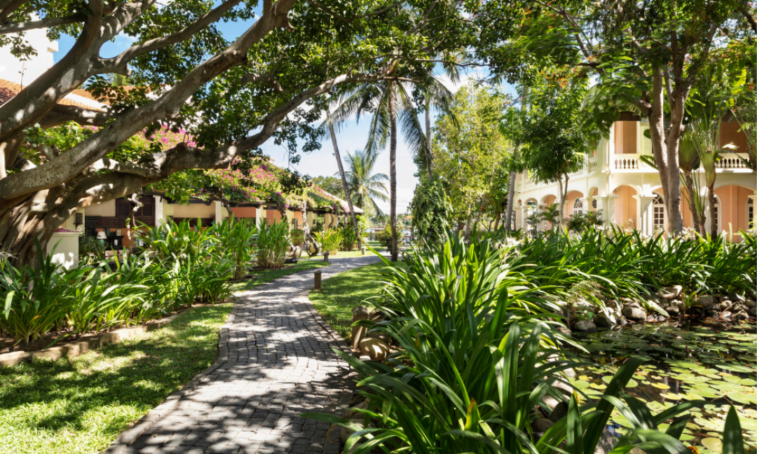 Anantara Hoi An Resort 3/105