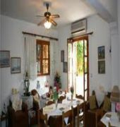 Paradissia 21/49