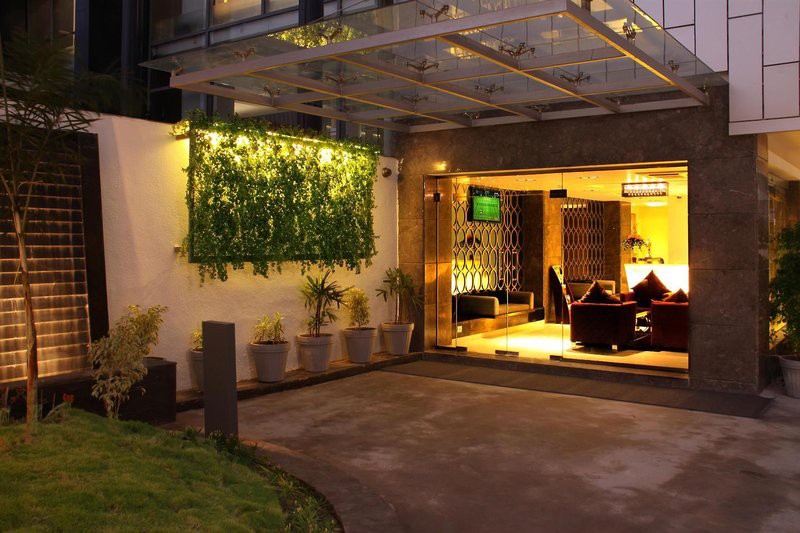 Golden Tulip 4/19