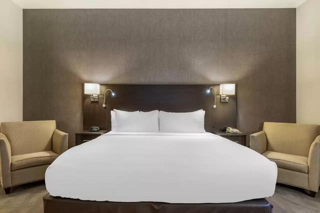 Comfort Suites Boise West Meridian 15/51