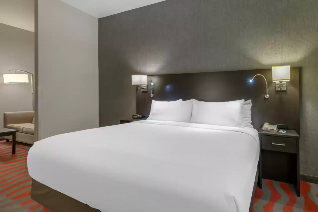 Comfort Suites Boise West Meridian 24/51