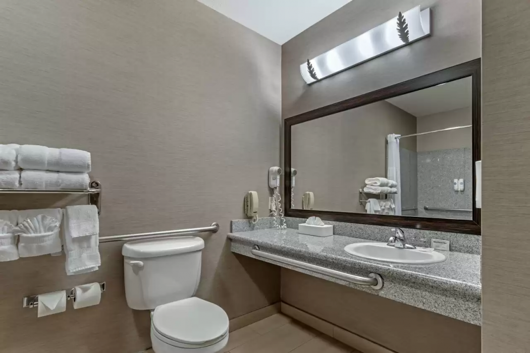 Comfort Suites Boise West Meridian 29/51