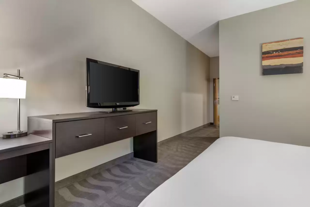 Comfort Suites Boise West Meridian 14/51