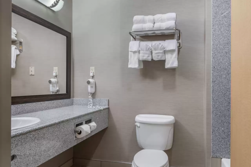 Comfort Suites Boise West Meridian 28/51