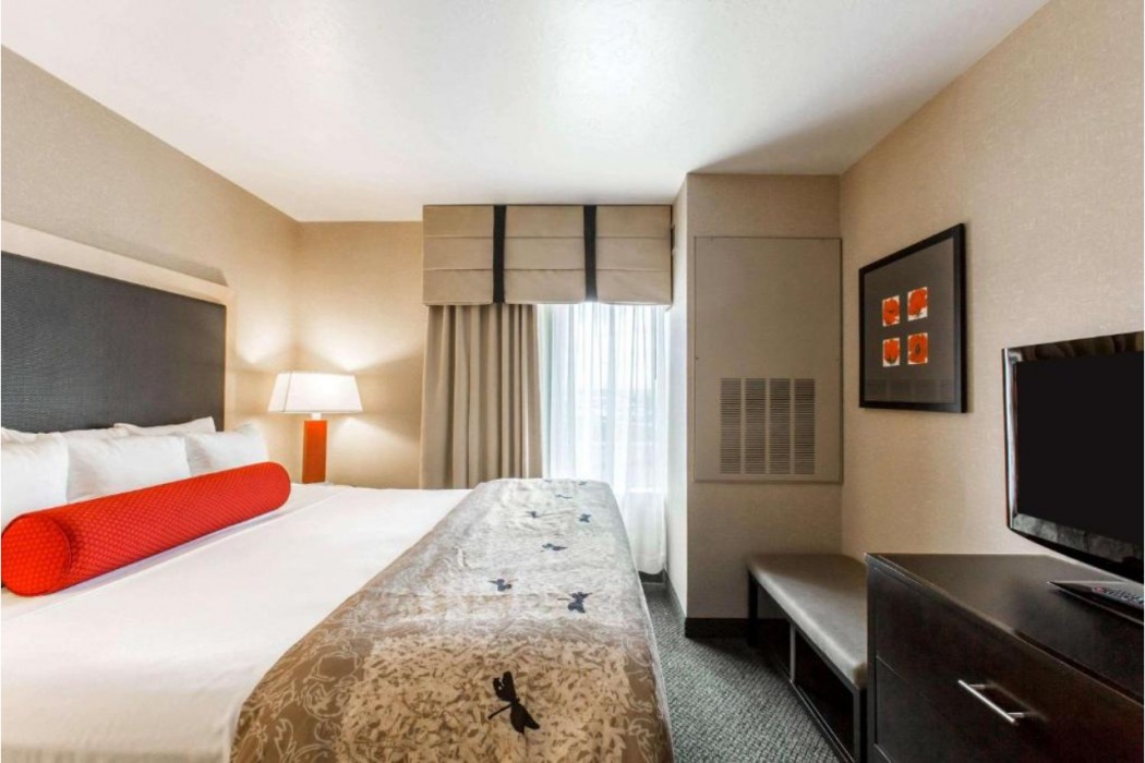 Cambria Hotel Rapid City near Mount Rushmore 13/54