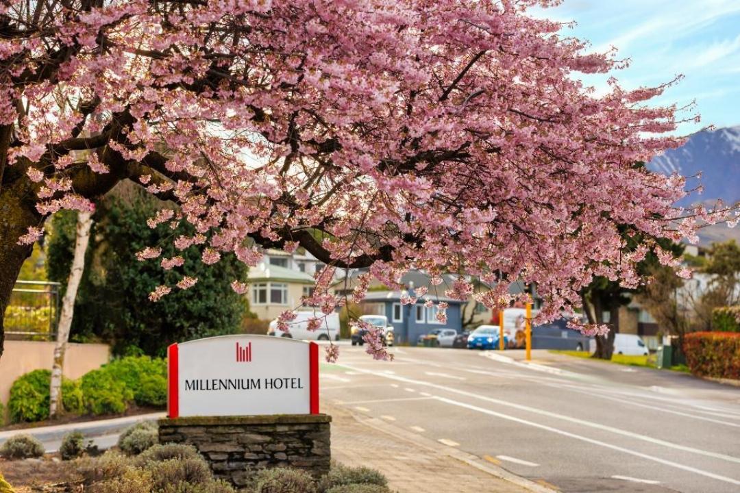 皇后镇千禧酒店(Millennium Hotel Queenstown) 图片4