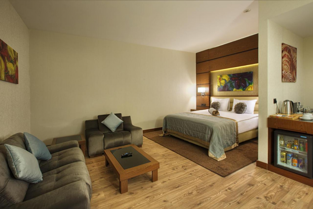 Dedeman Erbil Hotel 13/64