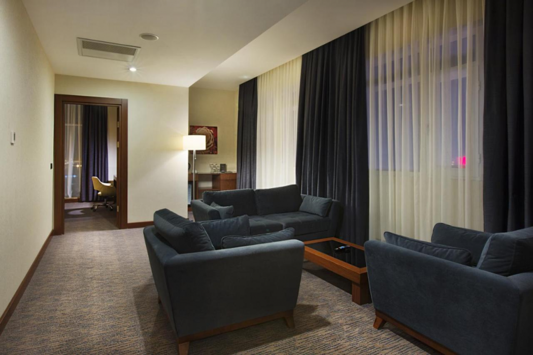 Dedeman Erbil Hotel 12/64