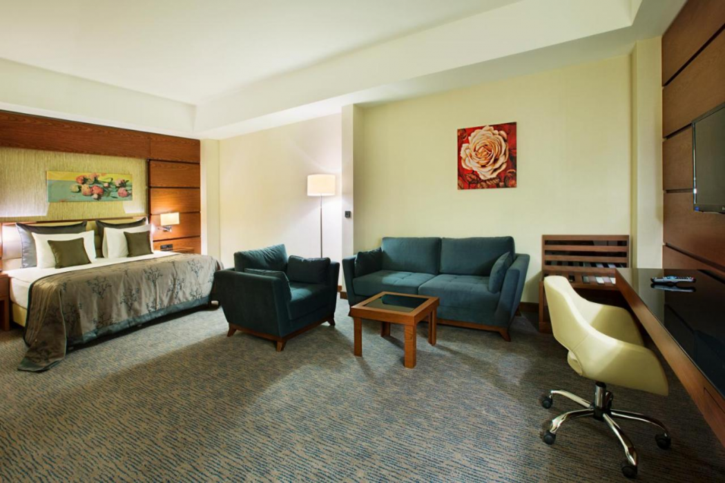 Dedeman Erbil Hotel 11/64