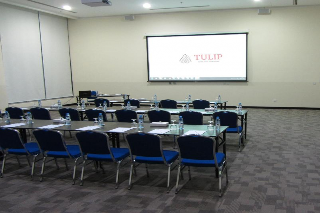 Tulip Hotel and Suites 22/65