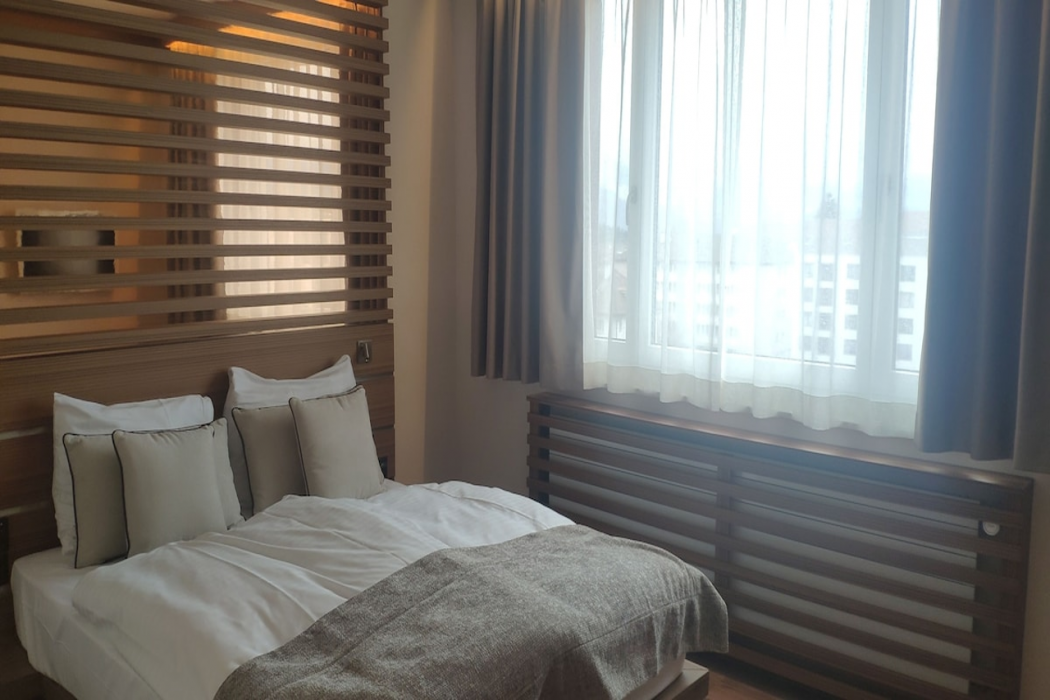 Hotel Rallye & Entrees aux Bains de la Gruyere 14/27