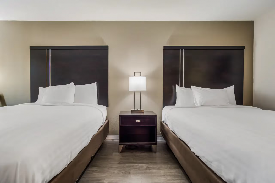 Clarion Inn & Suites Florence - Darlington 13/31