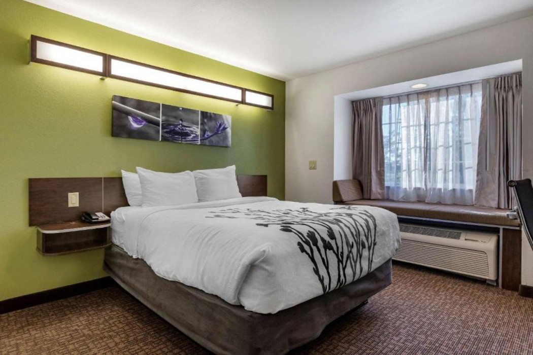 Sleep Inn and Suites Kalamazoo, MI 13/36
