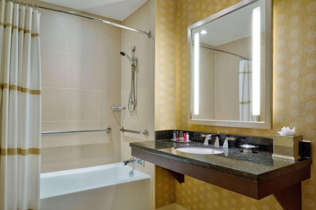 Wyndham Atlanta Buckhead Hotel & Conference Center 13/57