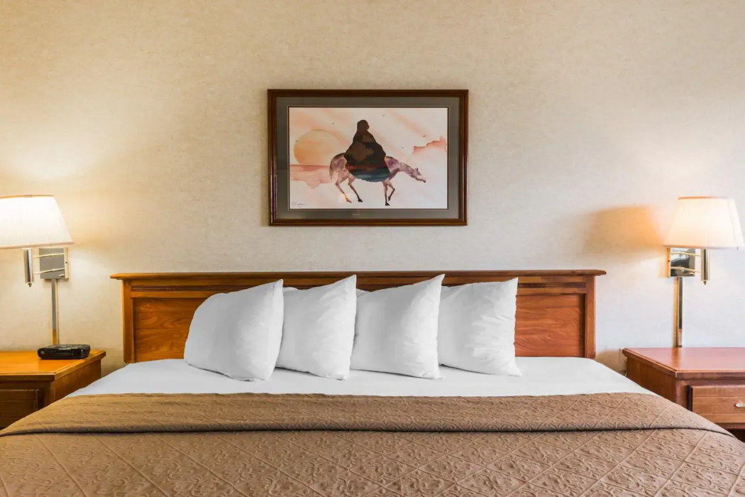 Quality Inn & Suites Montrose - Black Canyon Area 13/41