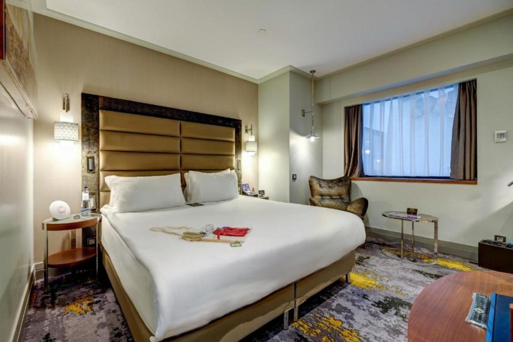 The Artisan Hotel Istanbul - MGallery Collection 19/62